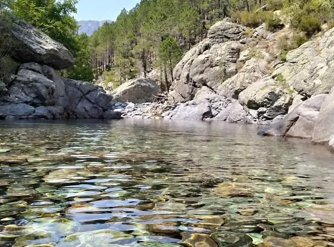 Apartment Briloc Centre Ajaccio (Corsica)